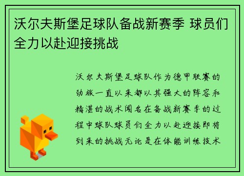 沃尔夫斯堡足球队备战新赛季 球员们全力以赴迎接挑战