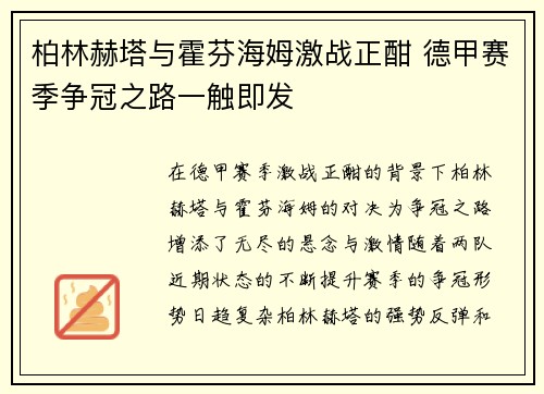 柏林赫塔与霍芬海姆激战正酣 德甲赛季争冠之路一触即发